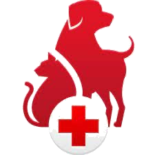 Pet CPR and First Aid Certified